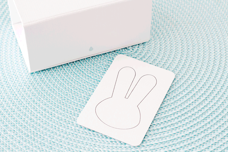 Mister-Lapin-business-card