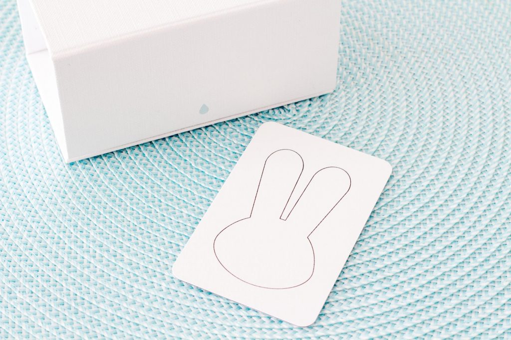 Mister Lapin business card (03)